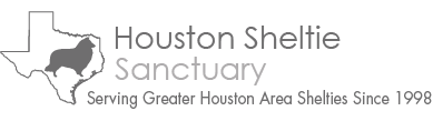 Houston Sheltie Sanctuary