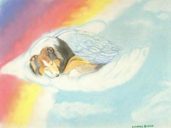 Rainbow Bridge