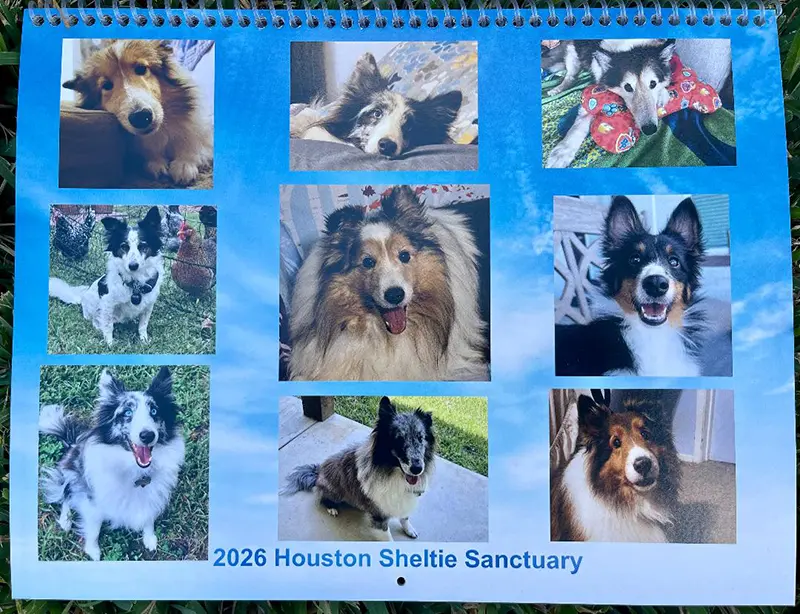 Houston Sheltie Sanctuary 2026 Calendar